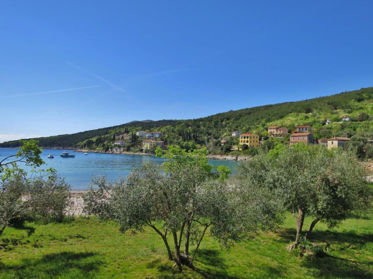 Holiday Home Villa Tanne - Lbn427 By Interhome Labin  Exterior foto